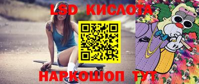 ПСИЛОЦИБИНОВЫЕ ГРИБЫ Кулебаки