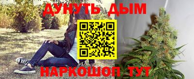 сатива Кунгур