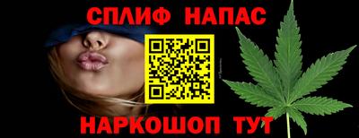 сатива Кунгур