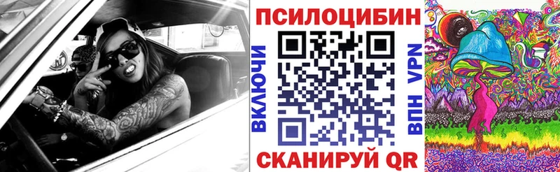 Псилоцибиновые грибы Cubensis  где найти   Знаменск 
