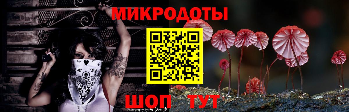 Галлюциногенные грибы прущие грибы Знаменск
