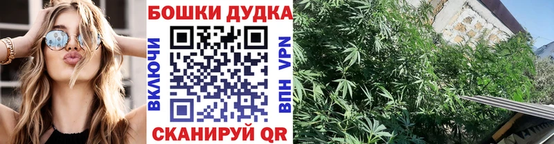 Марихуана сатива  где можно купить   Знаменск 